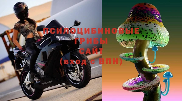 эйфоретик Нефтегорск